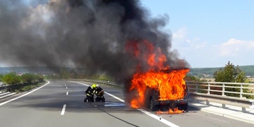 Vlak usmrtil koně, globus vybuchl, motokoloběžkář havaroval, auta hořela a nehoda pohřebáků s balonem