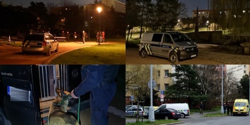 Tři případy násilí z plzeňských ulic