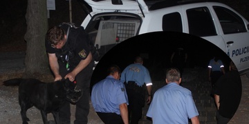 Parkem v Plzni se prohnala razie