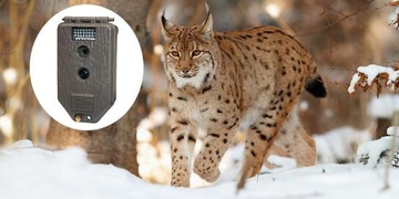 Ochráncům přírody zmizely fotopasti za téměř dvě stě tisíc