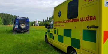 Na dělníka v lese spadla větev