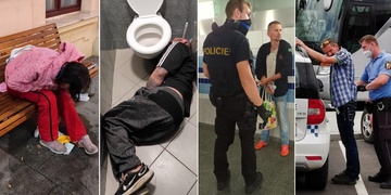 Medvěd a jemu podobní prakticky ovládají nádraží