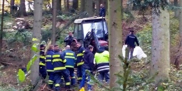 Padající strom zabil v lese muže