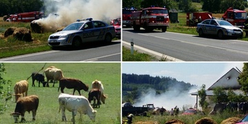 Zvířata zachráněna! Aktualizujeme