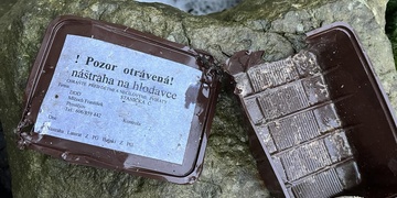 Pozor na traviče psů v Klatovech