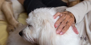 Babičky ve věku 86 a 93 let i invalidní muž potřebovali nutně pomoct