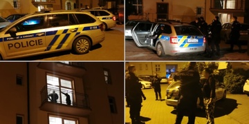 Žena zaútočila na muže v poutech a tak v nich skončila sama