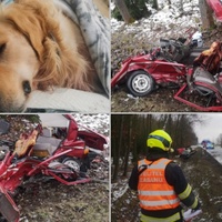 Ve vraku zemřel muž ve věku 45 let, druhému řidiči je teprve 18 let