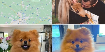 Ztratil se Oliver, pomozte nám prosím!
