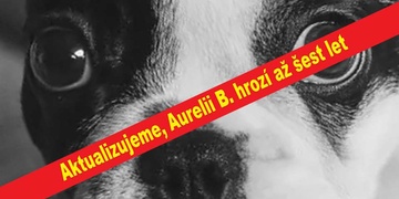 Aurelii B., která velmi brutálně usmrtila malého pejska, hrozí až šest let