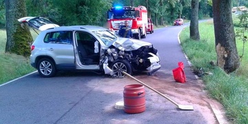 Žena se chtěla vyhnout zvířeti a havarovala