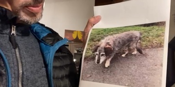 Psí babička je již doma