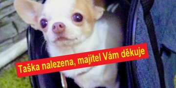 Betynce při venčení ukradli tašku