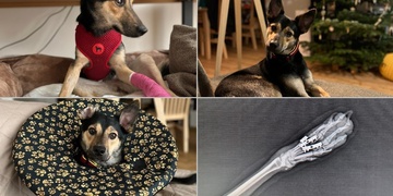 Příběh Jessie: "Z pekla do pohádky"
