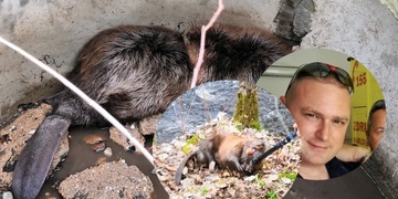 Záchranáři ZZS zachránili i dva bobry