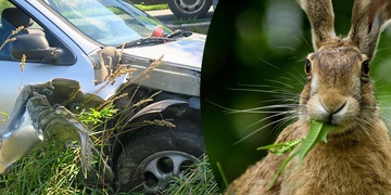 Zajíc jednoznačně vyhrál