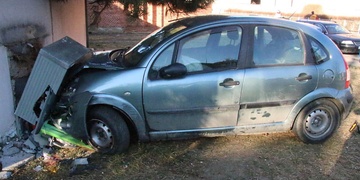 Tak takového souseda by asi chtěl mít každý...