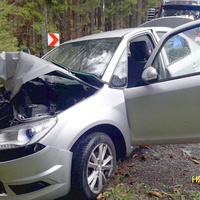 Auto řízené řidičkou narazilo do stromu