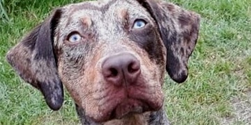 Pomozte prosím najít Kiaru