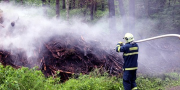 Požár v lese