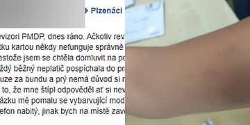 „Zlý revizor zase napadl nevinnou ženu…“