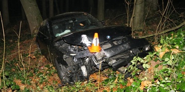 Pokácel lampu, vletěl do lesa a z místa utekl