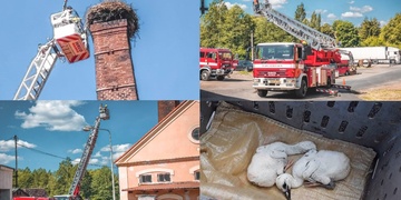 Čapí rodiče opustili mladé, zachránit je proto vyrazili hasiči