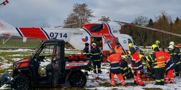 Na muže spadl strom