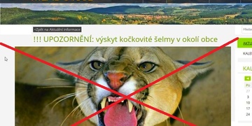 Puma, kočka a nebo jen kachna?