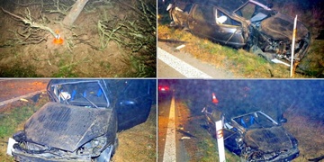 Řidič se údajně vyhýbal srně a přitom si z auta udělal vrak