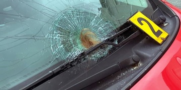 Na přechodu srazil ženu se psem