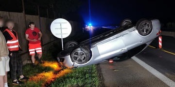 Srna nebo mikrospánek?