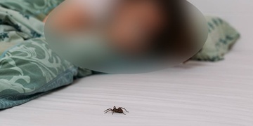 Zoufalé ženské volání o pomoc spustilo manévry