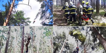 Aktualizováno: Dva armádní výsadkáři uvízli v korunách stromů -