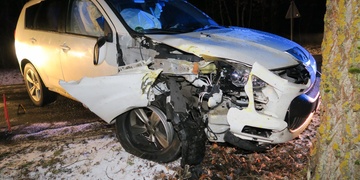 Srně se vyhnul, stromu ne