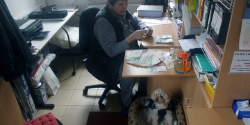 Skoro čtvrt milionu pro pejsky