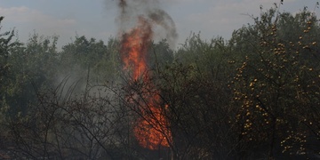 BYLI JSME V TOM: Velké požáry ze sucha dorazily už i do Plzně. Hoří stovky metrů porostu přímo na Borech