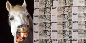 Naivní žena se stala "bílým koněm"