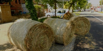 Co si v létě neukradneš, v zimě nemáš