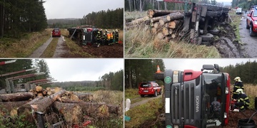 S nákladem kulatin se převrátil do příkopu