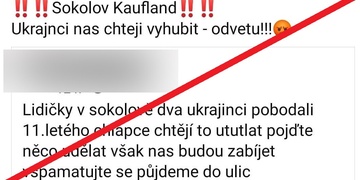 Informace o pobodaném jedenáctiletém chlapci je lživá