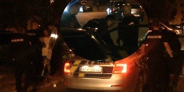 Opilá "dáma" se prala s policisty