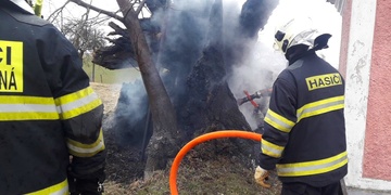 Torzo Kyjovské lípy zachvátil požár