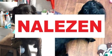 Izabela je již zpět u své milující rodiny