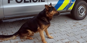 Pohřešovanou babičku nalezl Flobo a jeho psovod