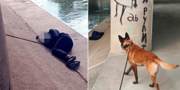 Capo našel chlapce pod mostem