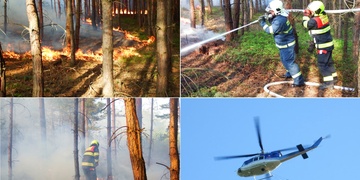 Les u Chotíkova zachvátil požár