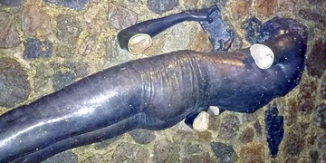 Neznámý pachatel vyvrátil a téměř zničil sochu chlapce