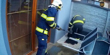 Užovce zkazili oběd, žábě zachránili život