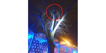 Muž se před záplavami na Chodském náměstí schoval na stromě
